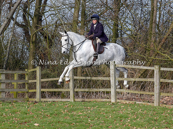 BSM19--431