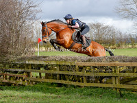 Steadies Round