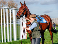 Race 4 Open Maiden