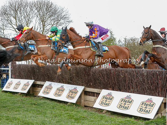 B&BP19--267