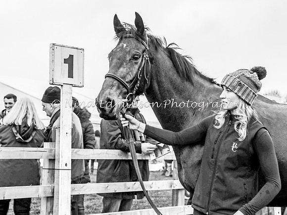 SP19--547-b&w