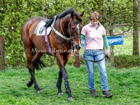 Race 4, 5yr old & over