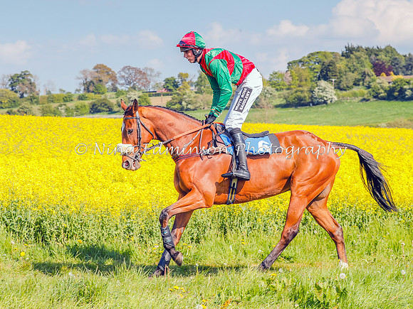 BILP19--272