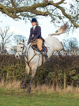 Z&B23---351