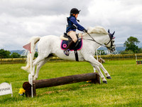 Arena Jumping