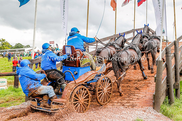 LOW19--584