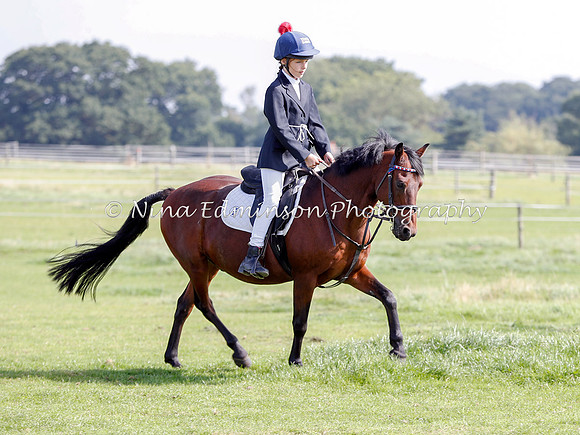 Brook--144