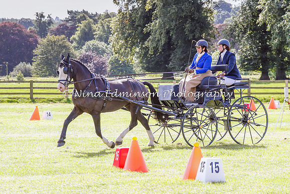 DNC--0389