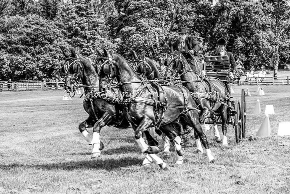 DNC--0892-b&w