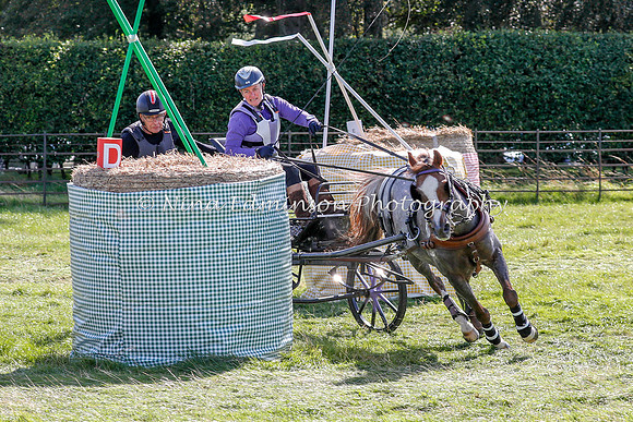 DNC--3625