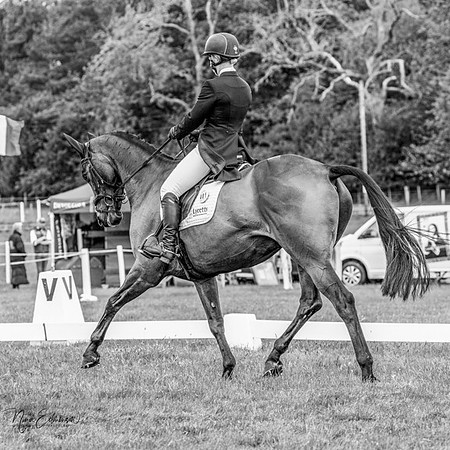 bel25 - 015 b&w