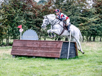 Fence 19