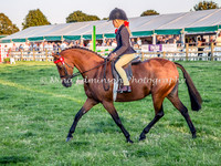 Supreme Horse & Pony Championship