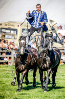 Atkinson Action Horses