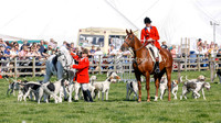 Hound Parade
