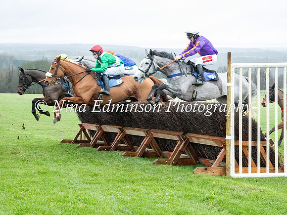 SINP24---095