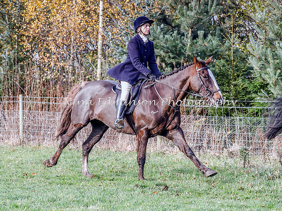 FH19--100