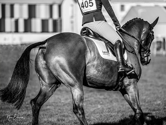 LIN24003-b&w