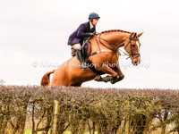 Jumping 3