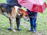 Slenningford 15-2-20