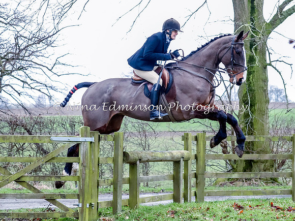 WF20--061