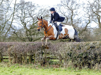 Jumping 1