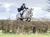 Jumping 2