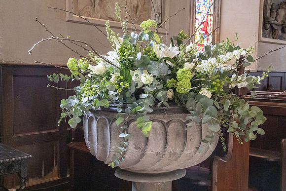 SDW20--019