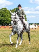 Ridden Hunters