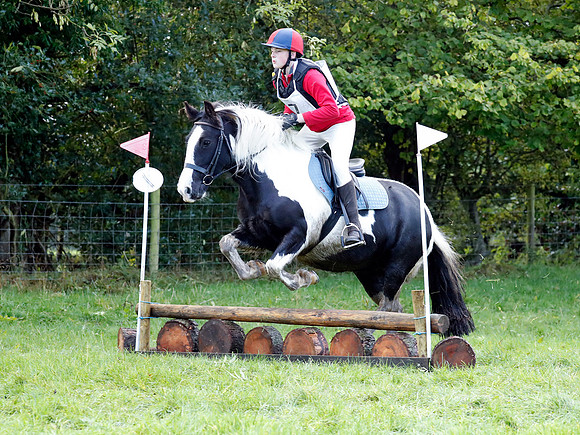 HOLHT20021