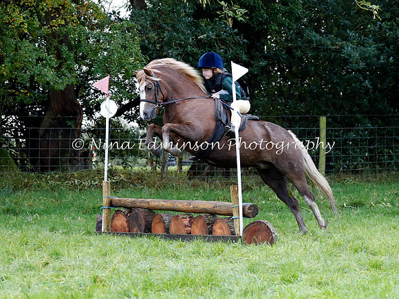 HOLHT20038