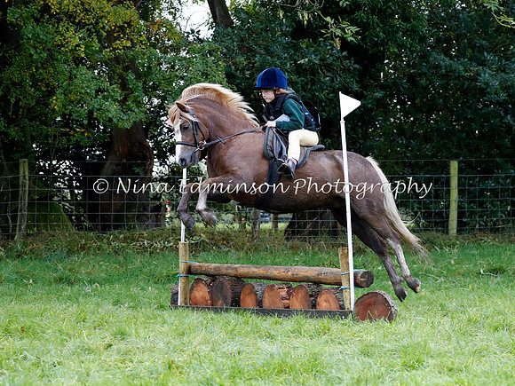 HOLHT20039
