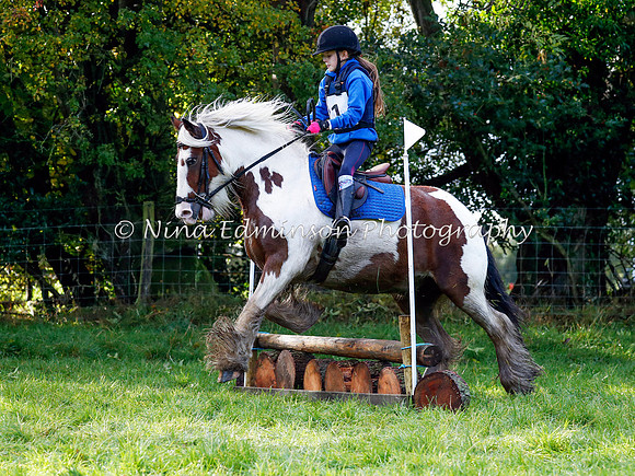 HOLHT20046