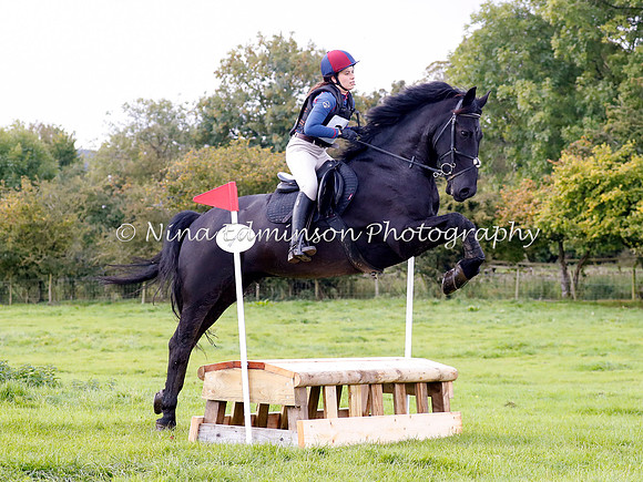 HOLHT20113