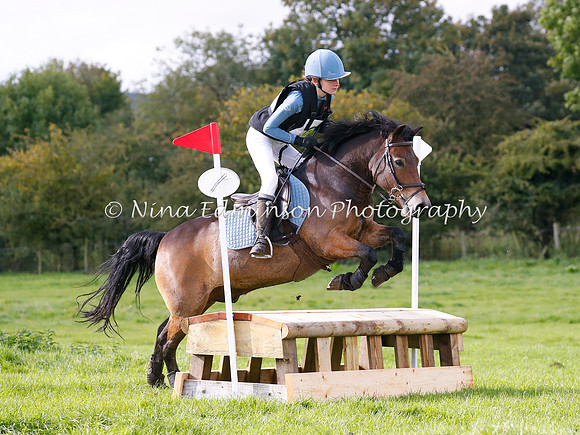 HOLHT20118