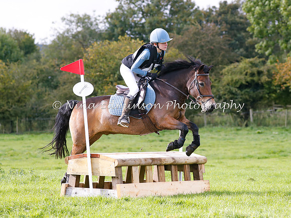 HOLHT20119