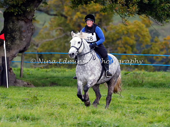 HOLHT20158