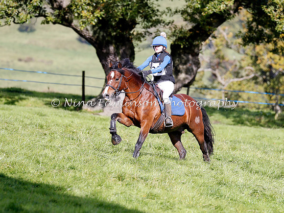 HOLHT20194