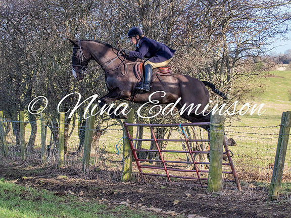 BLDA25 -1095
