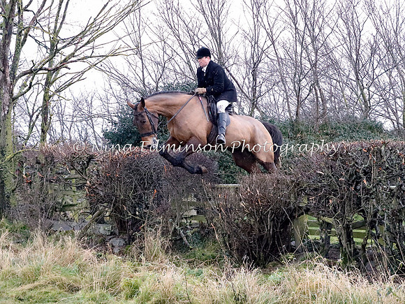 BNG20-228