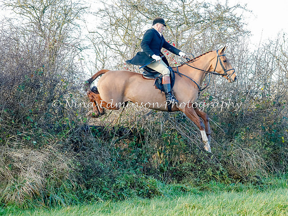 BCF20036