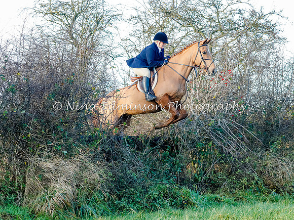 BCF20039
