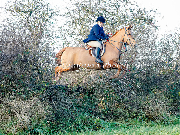 BCF20041