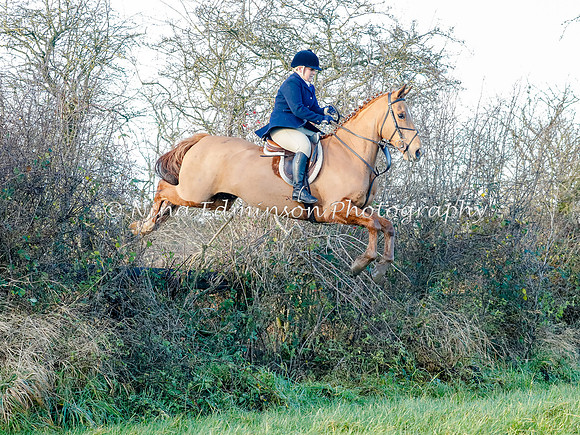 BCF20042