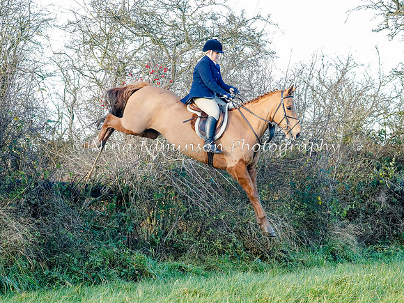 BCF20044