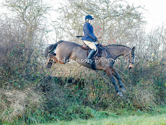BCF20048