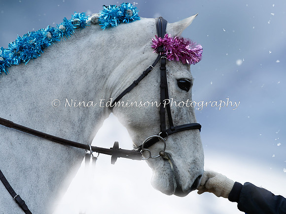 Winter_02-Edit