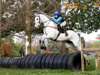 85cm fence 3 & 18