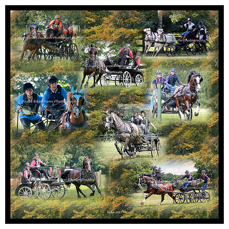 Carriage Driving 2