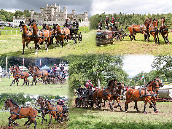 Carriage Driving